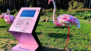Palangoje svečius pasitiks vaikų svajones nešantys flamingai 1